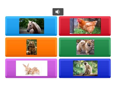 музыка 11сабақ