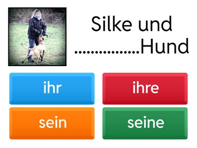 Ihr - Sein - Mein - Dein