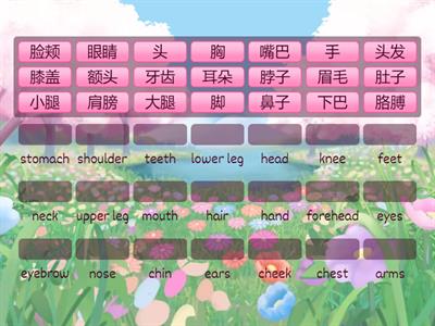 身体部件（中英文）