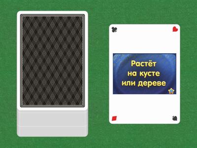 Соображарий_2 (задания)