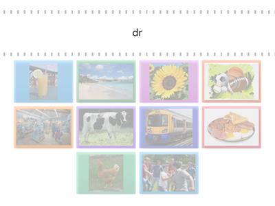 consonant blends and digraphs