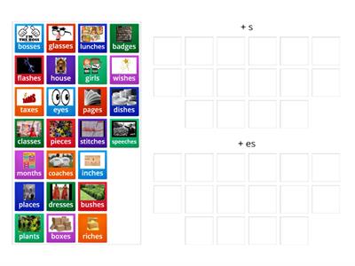 Plural endings S/ES [WtW 9.45 within word spellers]