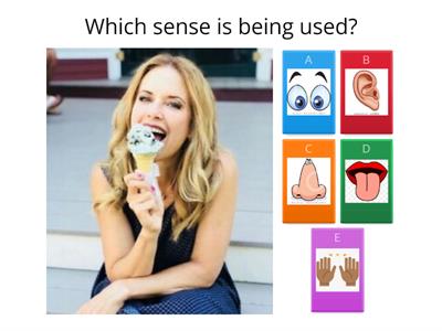  senses quiz