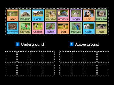 Underground or Above Ground