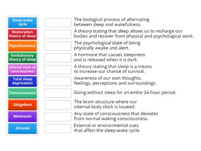 Human consciousness and sleep