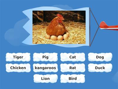 จับคู่คำศัพท์ภาษาอังกฤษ Animal matching game