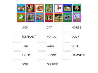 Match up animals