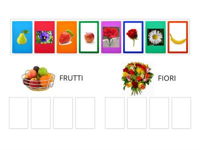 fiori e frutti