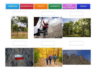 VOCABULARI ÈSSERS FANTÀSTICS