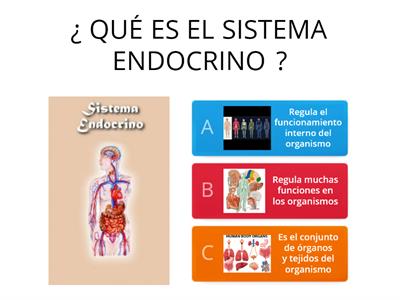 CIENCIAS NATURALES: EL SISTEMA ENDOCRINO 