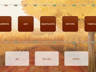 Person sorting [we and you (pl)]