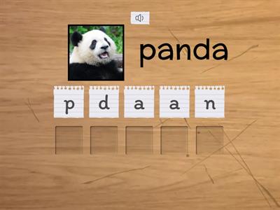 Unit 5　動物の名前のつづり②