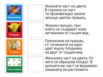 Свържи думата с нейното описание