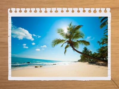 Form 9 Weather revision