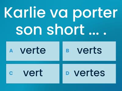 Chemins 2 - Contextes 1B - Les couleurs [accord des adjectifs]