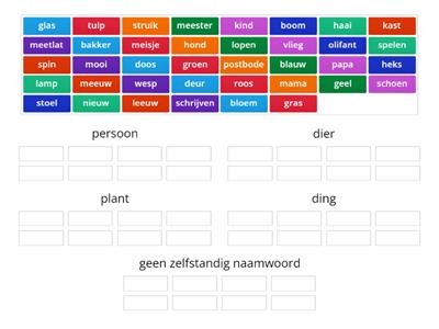 Zelfstandig naamwoord 2e leerjaar - persoon dier plant ding