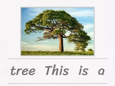 Learning vocabulary in English