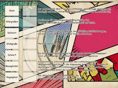 Hell- und Dunkeladaption