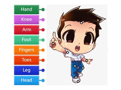 UNIT 8 THE ROBOT - Parts of the body