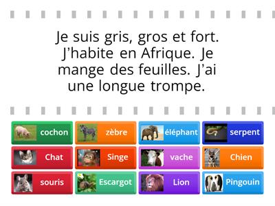 Les animaux 1A