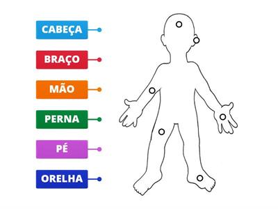 Partes do Corpo