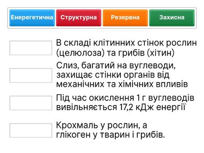 ФУНКЦІЇ ВУГЛЕВОДІВ
