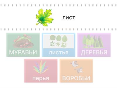 Разделительный ь знак