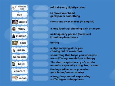 Accidental Tourist Chapter 2 Vocabulary