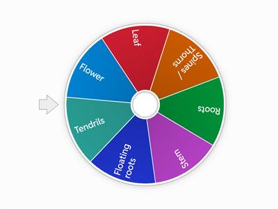 STRUCTURES AND FUNCTIONS!!!!