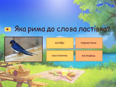 птахи і їхні рими