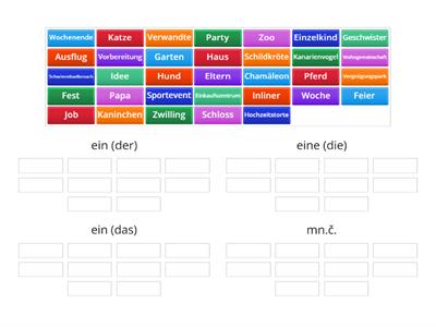 ein/eine/ein