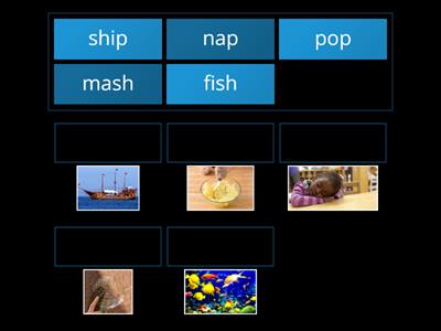 WRS 1.1 Matching Activity 