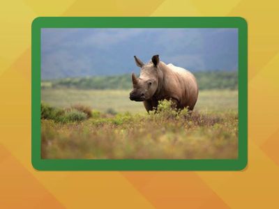 01 UNIT 2 - VOCABULARY I