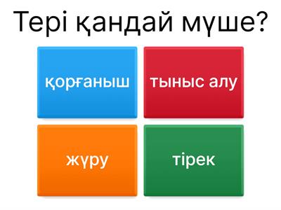 Виктарина ✨