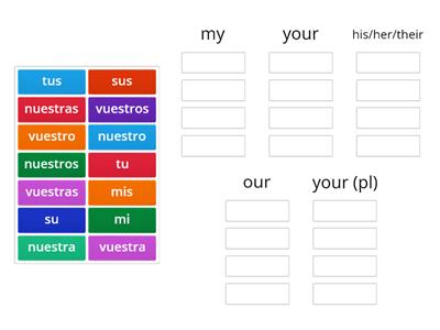 possessive adjectives spanish