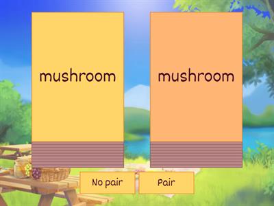 Sounds of oo Pair or No Pair Game
