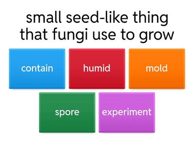 G5-ELA-Review Key Words
