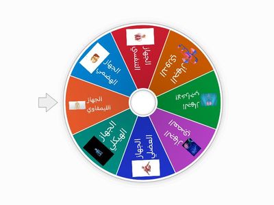 اجهزه الجسم الرئيسيه