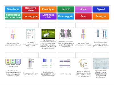 Unit7 Genetics