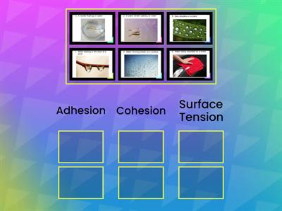 Adhesion, Cohesion, Surface Tension