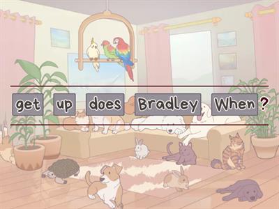 English - Project 1 - L4 - Do/Does