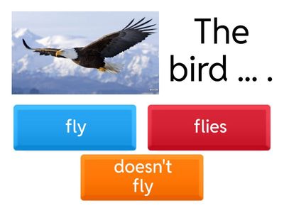 Simple Present all forms