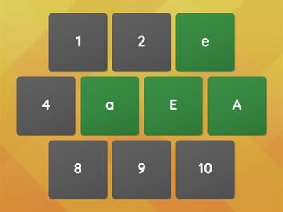 ESOL PE Upper and lower case vowels