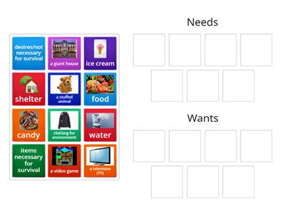 Needs and Wants