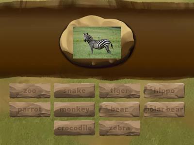 Super Minds 2 Unit 2 The zoo