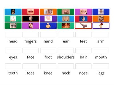 Body parts Evolution plus 4 - Unit 6