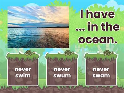  Never / Ever - Present Perfect 