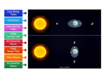McKamy Tides Diagram