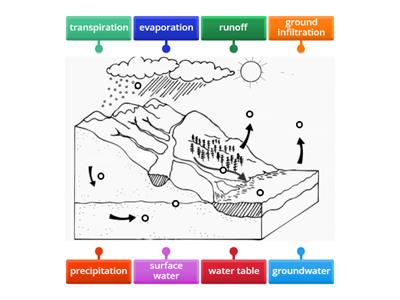 Groundwater & Surface Water Diagram