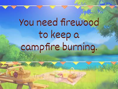 Camping (Smiles 4 Module 5)